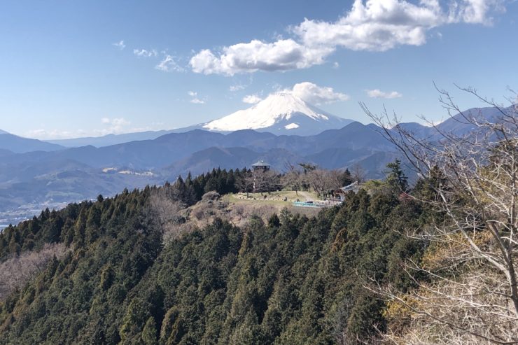 ヤビツからの富士山