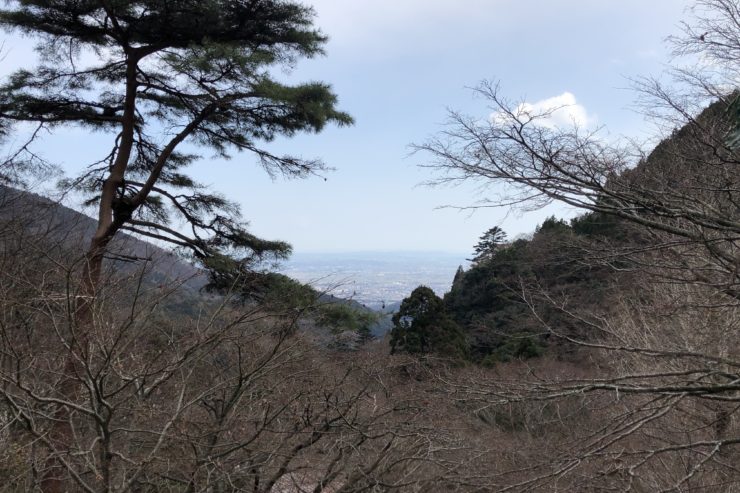 大山寺からの風景