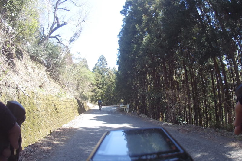 大野山への道