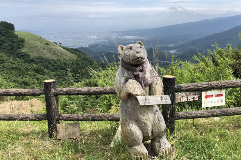 大野山の木彫りの熊