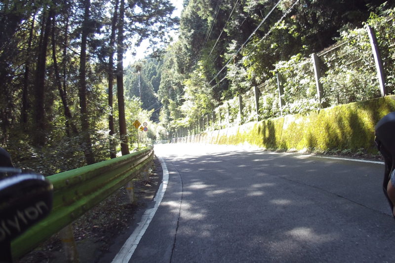 和田峠への道