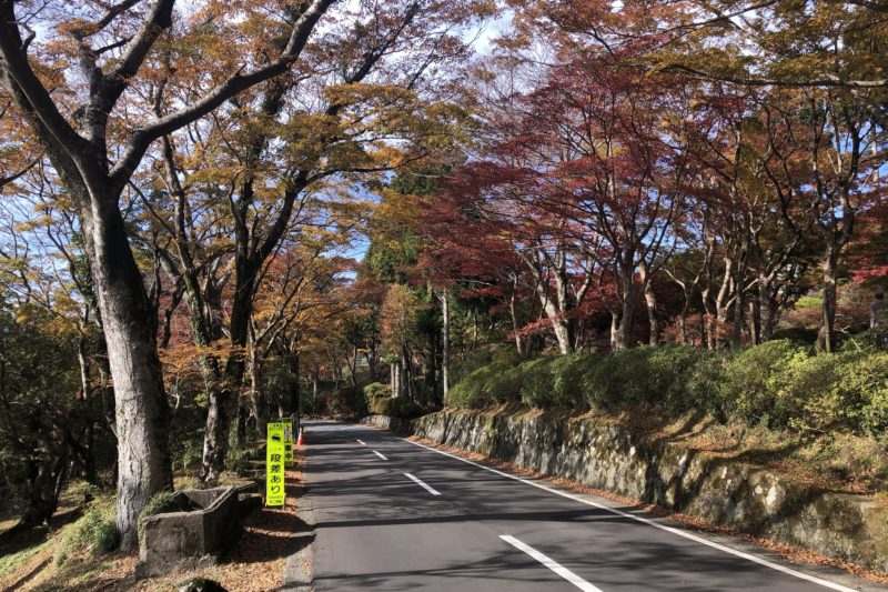 箱根神社の先の紅葉