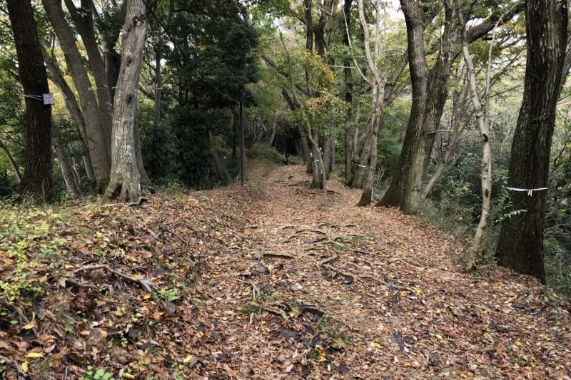 県立七沢森林公園