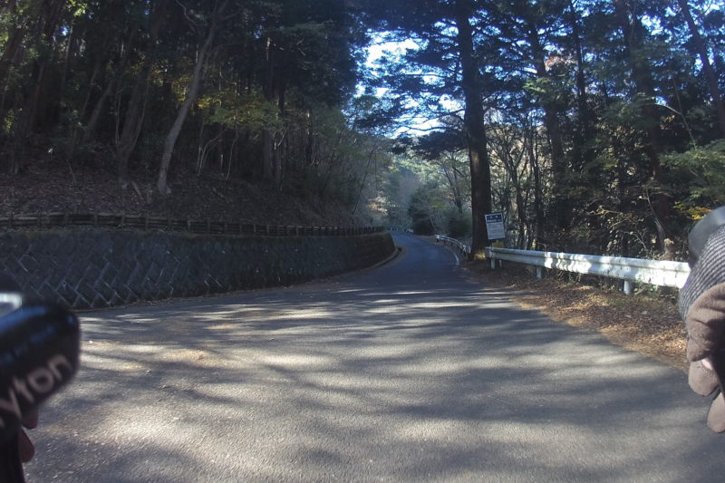 大山寺への道