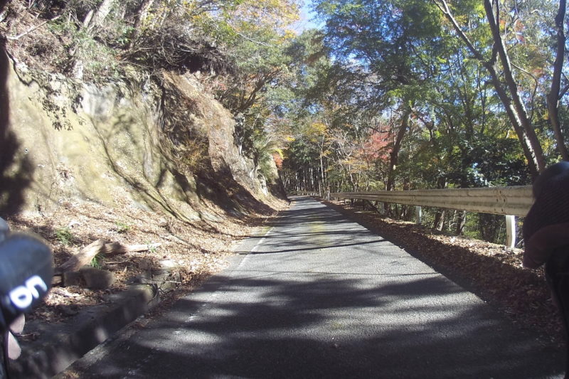 大山寺への道
