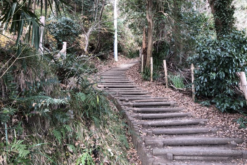 吾妻山頂上への階段