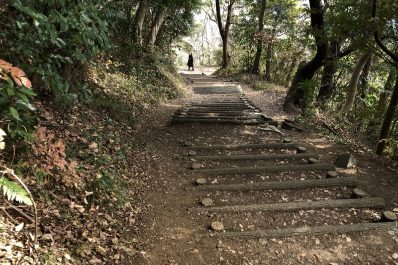 吾妻山公園への坂道