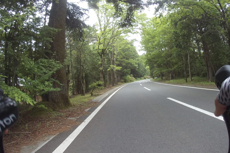 富士山への林道