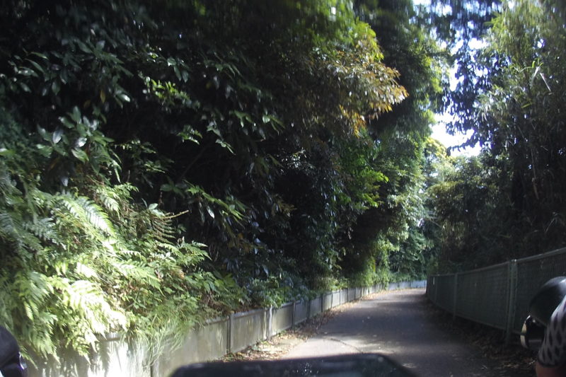 武山への道