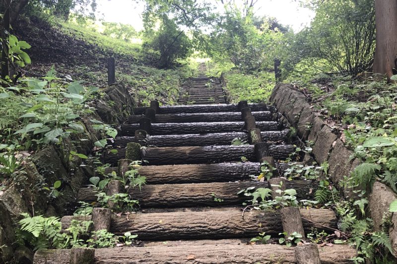 河村城跡へ上り階段