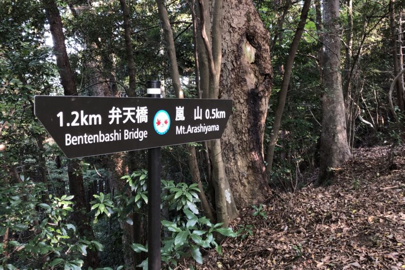 嵐山ハイキングコース