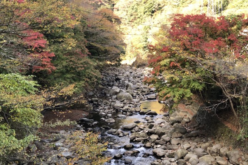 箱根の吊り橋から見える紅葉