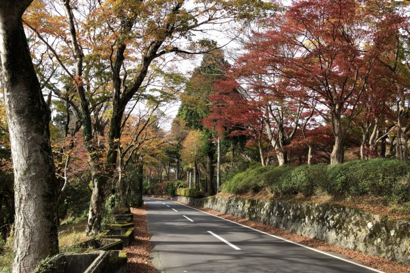 箱根の小田急山のホテル近くの紅葉