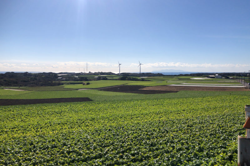 三浦半島の畑と風車