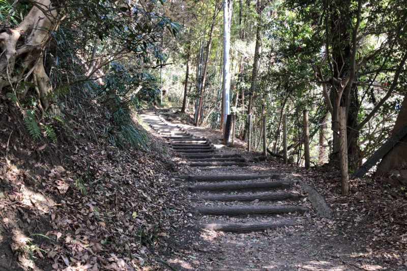 吾妻山公園の梅沢上り口からの階段