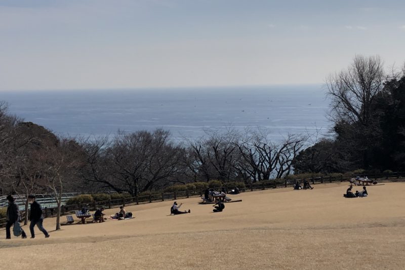 吾妻山公園からの眺望
