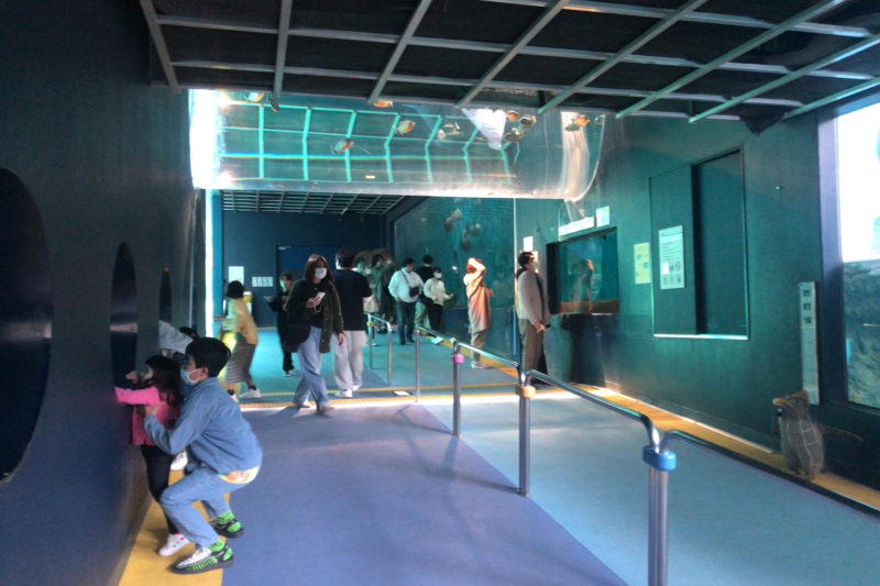 箱根園水族館の通路