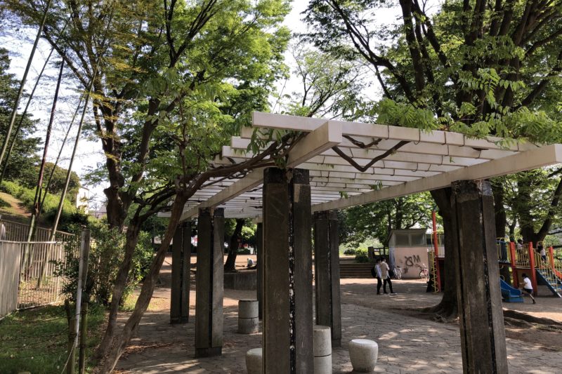 円行公園の藤棚