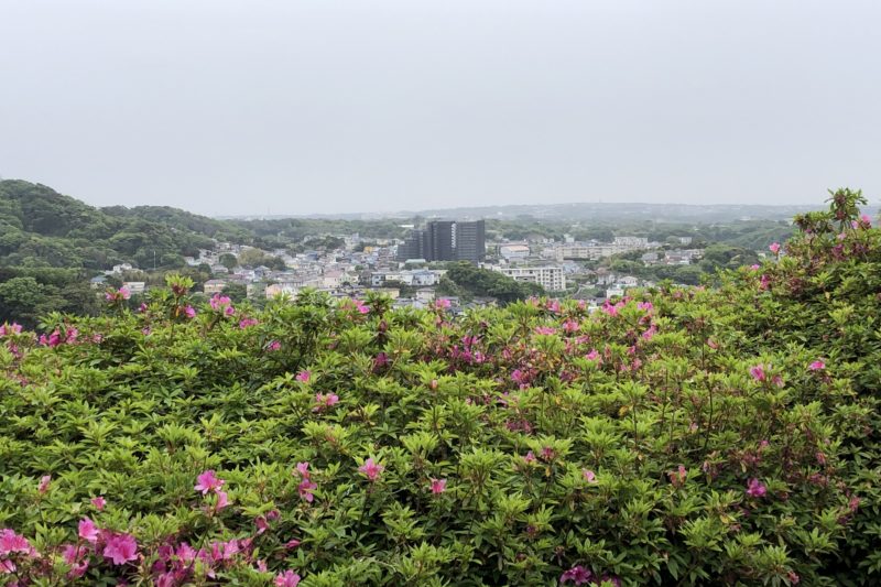太田和つつじの丘からの景色