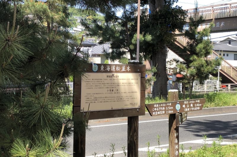 東海道並木道の立札