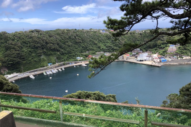 波浮港見晴台からの景色