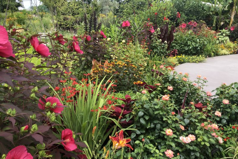 あやせローズガーデン