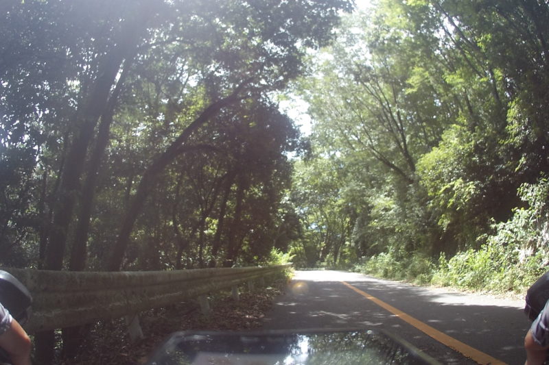 城山湖への上り道