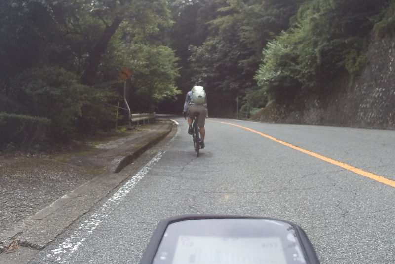 箱根旧道を上るロードバイク