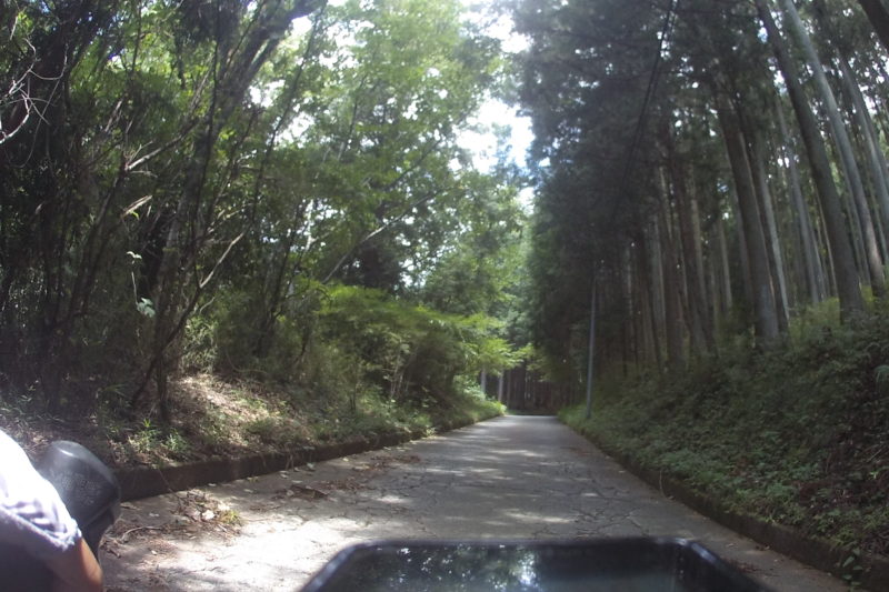 葛葉の泉への林道