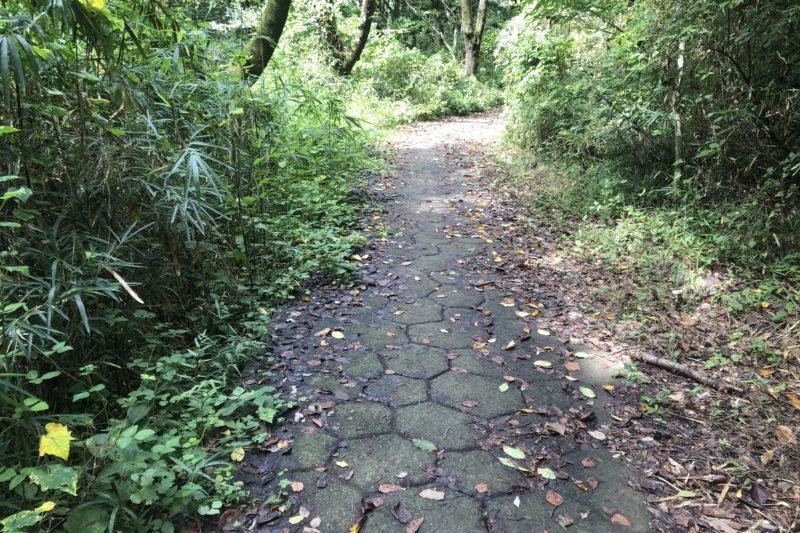 寺家ふるさとの森