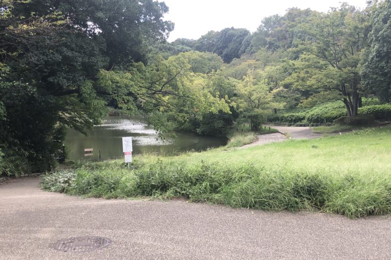 鴨池公園