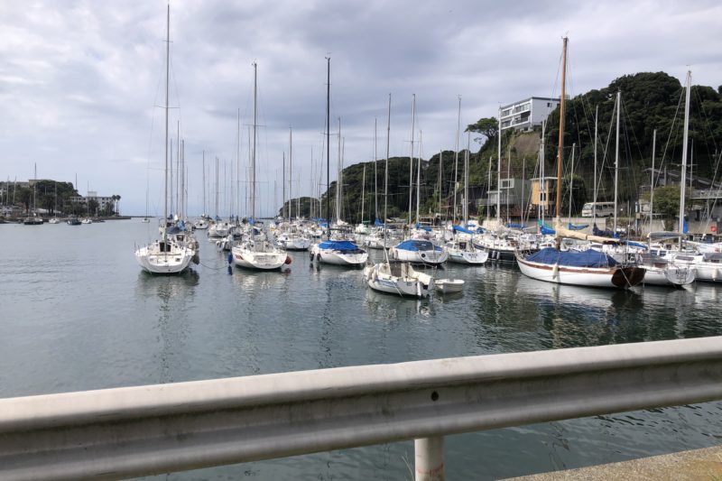 諸磯湾のヨット