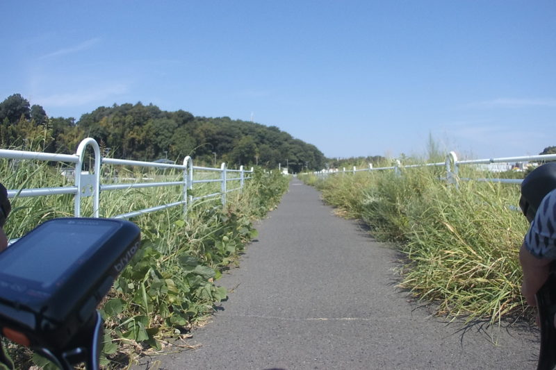 境川サイクリングロード