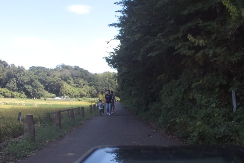 寺家ふるさとの森の周囲