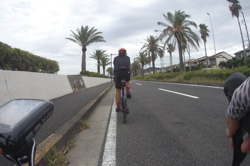 馬堀海岸線を走るロードバイク