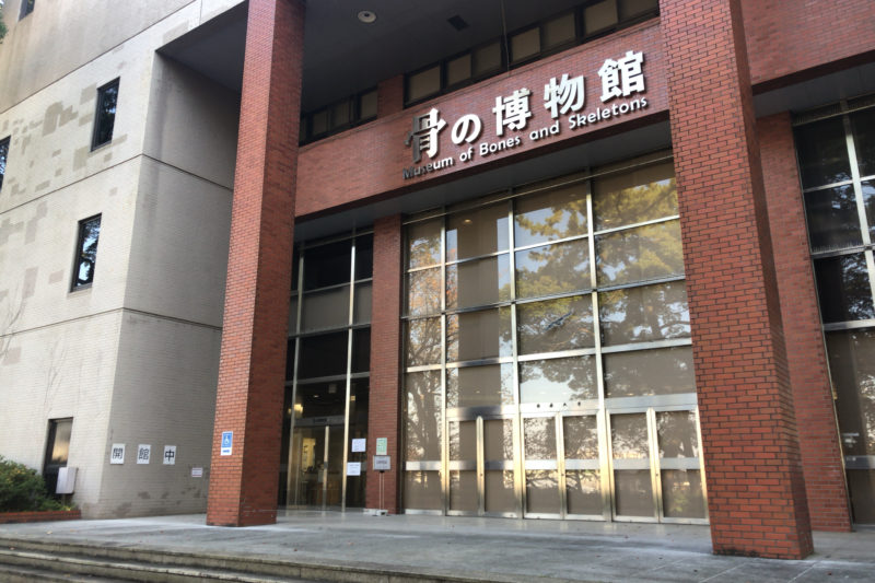 日本大学生物資源科学部の骨の博物館