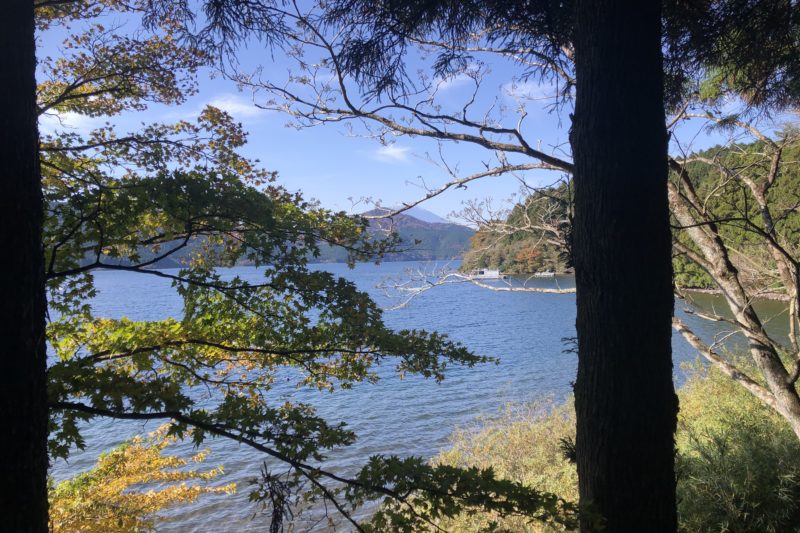 林道からの芦ノ湖