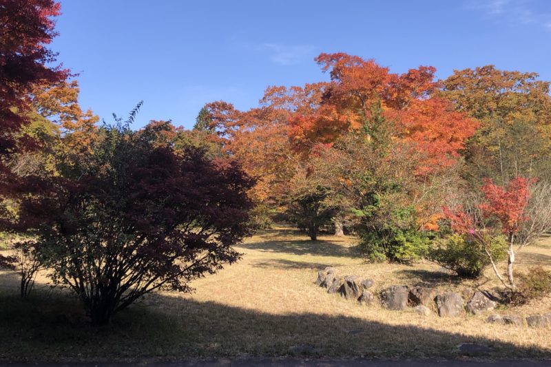 箱根桃源郷の紅葉