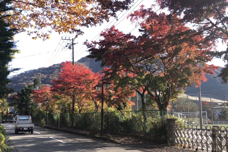 箱根の紅葉