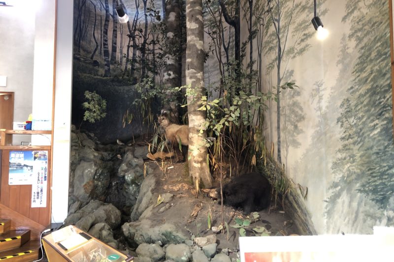 みやがせミーヤ館の自然を再現した展示