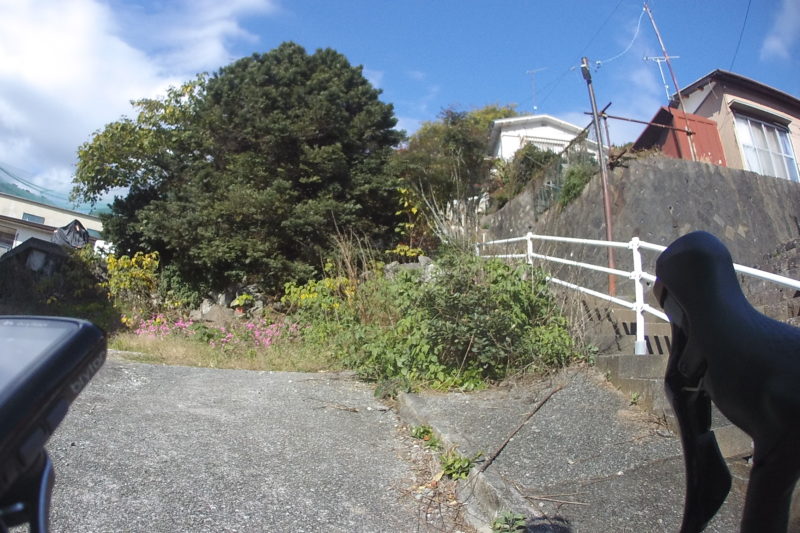 ゲストハウス小鉄へ向かう階段