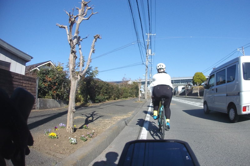 大山地区をサイクリング中