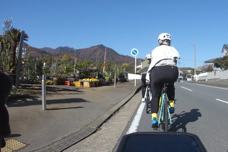 サイクリング中に見えた丹沢の紅葉