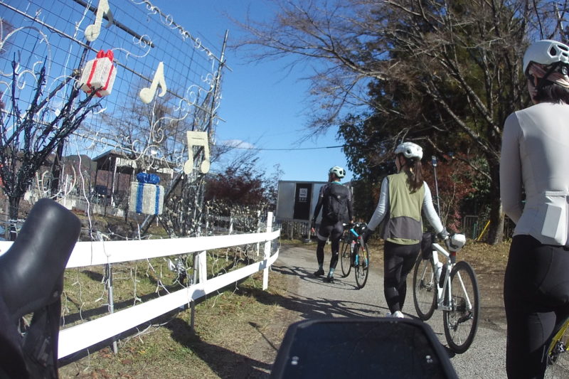 宮ヶ瀬湖畔園地のイルミネーション（昼間）