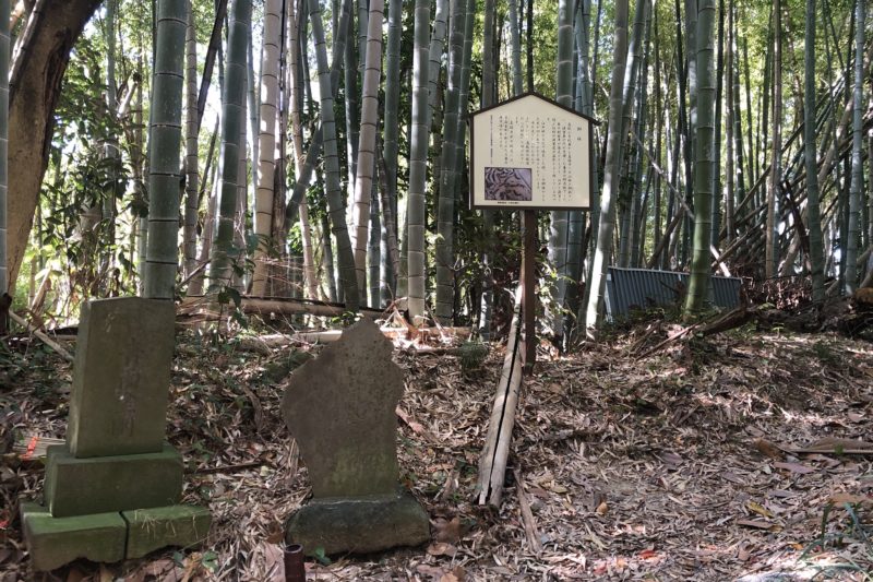 横須賀市の御林