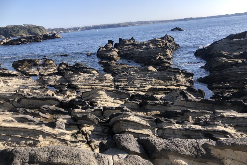 荒崎公園の海岸線