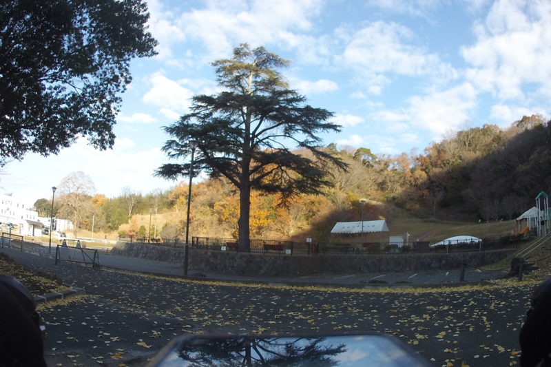 ラディアン花の丘公園