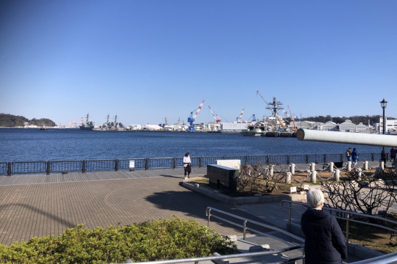 ヴェルニー公園からみた港