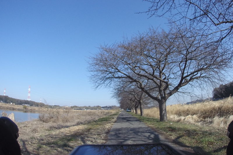 印旛沼近くの川沿い