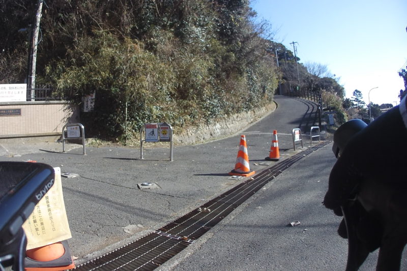 観音埼灯台へ向かう道